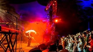 Divine Fits - Would That Not be Nice - @Pickathon 2013 - Mountain View Stage