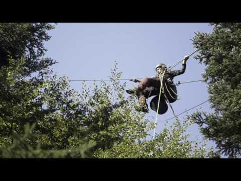 Zapfenpflücker bei der Arbeit - Weisstannen-Saatguternte für ForstBW