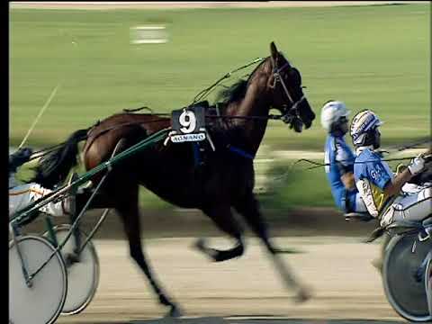 Trotto 25/05/2018 - 4ª corsa