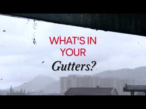 What's in Your Gutters?