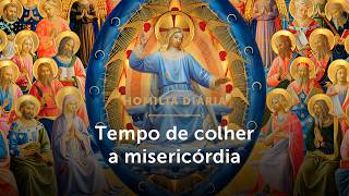 Homilia Diária | Tempo de colher a misericórdia (Sexta-feira da 29ª Sem. do Tempo Comum - 23/10/26)