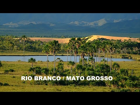 RIO BRANCO / MATO GROSSO