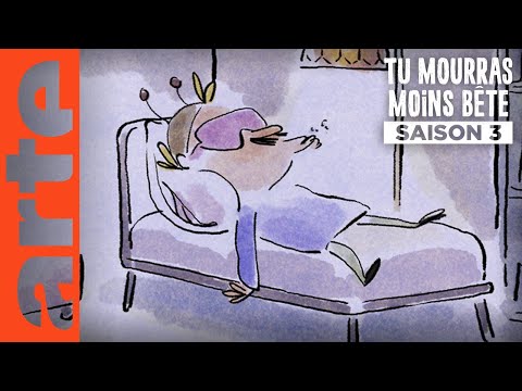 La paresse | Tu mourras moins bête | ARTE
