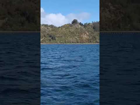 Terreno de 3,97 Hectáreas Quinchao, Chiloé