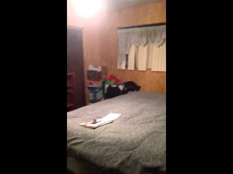 11021 SW 141 Ave Video 1