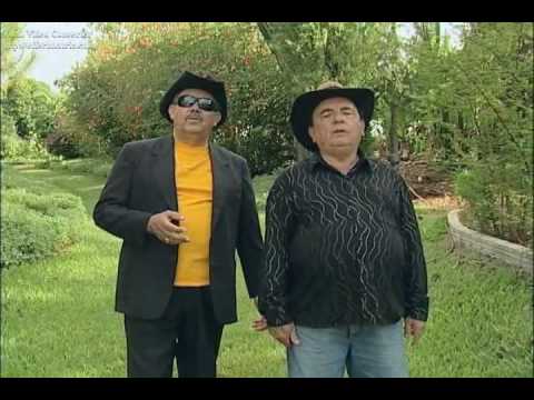 Brasão e brasãozinho - Tema de Lara