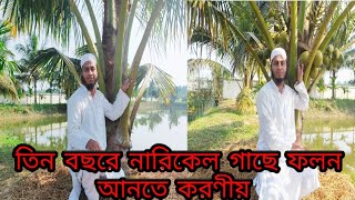 খটোজাতের নারিকেলে তিন বছরে ফলন আনতে করণীয়