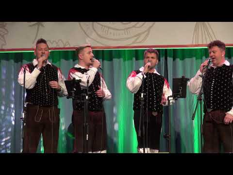 Gregor s prijatelji in kvartet Eros -  Kje mamici bi rož nabral (v živo)