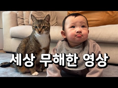 얘는 또 누구야?