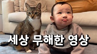 얘는 또 누구야?