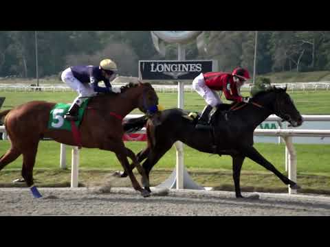 220821 c01 EL ULTIMO HEREDERO