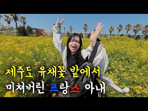 난생 처음 봄맞이로 제주도 유채꽃 밭에 갔다 충격 받고 미쳐버린 프랑스 아내