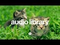 Hidden Agenda Kevin MacLeod No Copyright Music