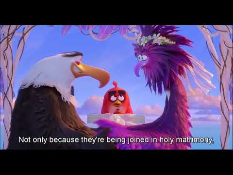 mighty eagle and zeta's wedding || mighty and zeta meet after the breakup