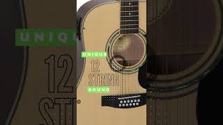Video thumbnail for This is what the Mitchell D120S12E 12-String sounds like. - Guitars Are Being Strummed #shorts by The Jank Guitar Store Records