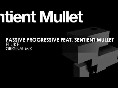 Passive Progressive featuring Sentient Mullet - Fluke