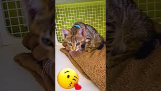 Exploring Petco for the first time!