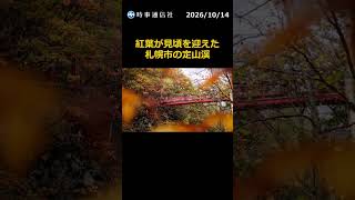 秋色に染まる渓谷