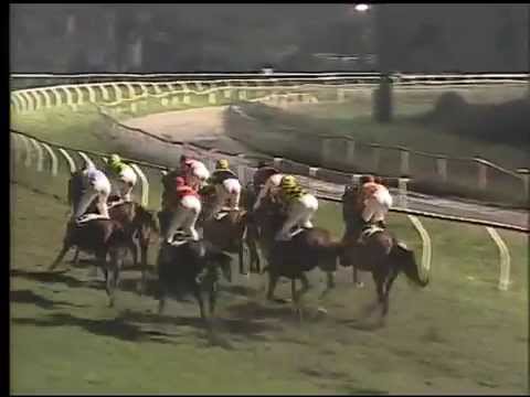 Galoppo 06/02/2015 - 6° corsa