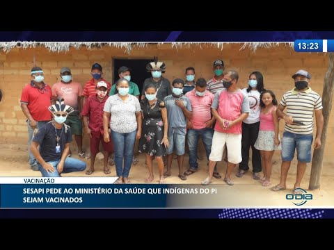 SESAPI pede ao Ministério da Saúde a inclusão de indígenas no plano de vacinação 24 03 2021