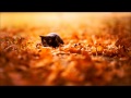 Headstrong Feat Stine Grove Tears Aurosonic Mix HQ Audio