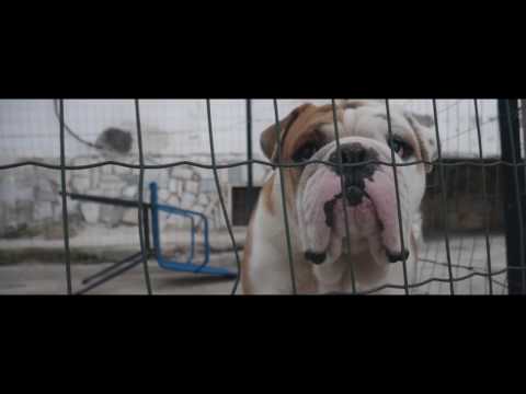 PSHomie feat. Pseudo & SnapHate - New Age (Prod. Pseudo)