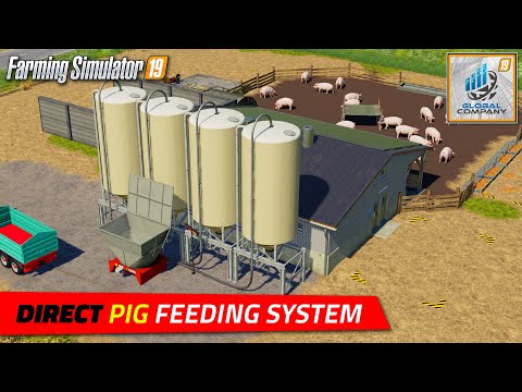 FS19 | Direct Pig Feeding System - review