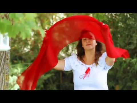 Carlo Pelle & Company - Musica animazione matrimoni - Piero Fisarmonica