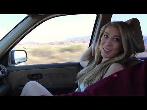 The Hitchhiker's Journey