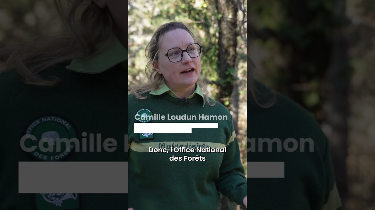 Bénéfices de la certification PEFC  #foret  #bois #gestiondurable