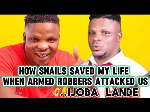HOW SNAILS SAVED MY LIFE WHEN ARMED ROBBERS ATTACKED US ….IJOBA LANDE