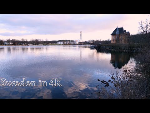 Morning sunrise walk in Djurgården, Stockholm 2023 4k 50fps