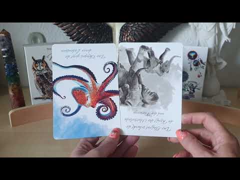 #Wochenorakel 15.-21.8. innere Einkehr zur #Transformation und Wandlung und die stichelnde Biene ♥️🐝