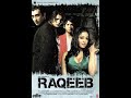 Betrayal Love And Revenge Unravelling The Suspenseful Plot Of Raqeeb
