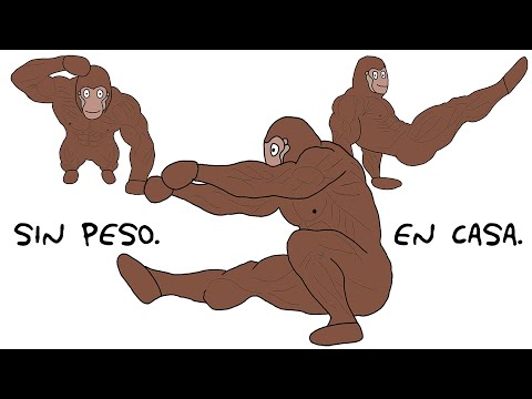 Everything you need to know to train at home – Explained by Simio