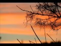 Orange Sky Alexi Murdoch