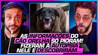 URGENT! The BEHIND-THE-SCENES of the CRIME against ORELHA and the POWERFUL FAMILY BEHIND IT - BIO...