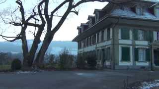 Swiss Voodoo: Reptilian Crawling out of Human Being`s Back, Elfenau, Princess Feodorowna-Saxe-Coburg
