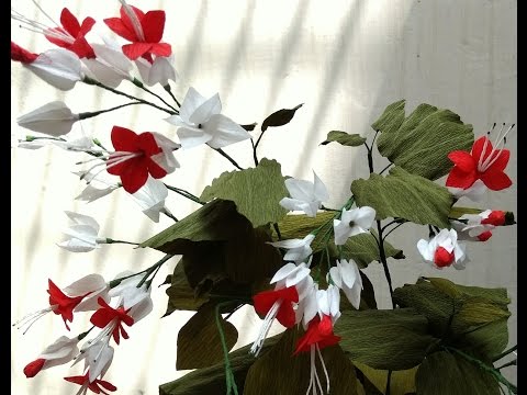 How to make Paper Flowers Bleeding Heart / Clerodendrum Thomsoniae (Flower # 77)