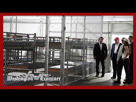 First group of migrants arrives at ‘Alligator Alcatraz’