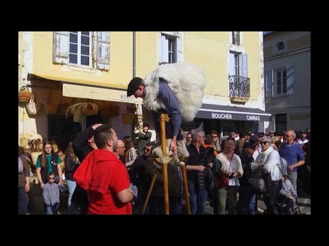 Bazas : la fête des boeufs gras maintenue !