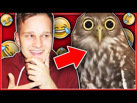 ALS JE LACHT, VERLIES JE CHALLENGE!