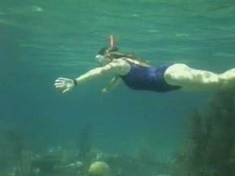 Smith's Reef Area in Provo, Turks and Caicos