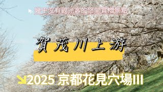 ❒ 賀茂川上游：京都花見穴場3 | 幾乎沒有觀光客的悠閒賞櫻景點