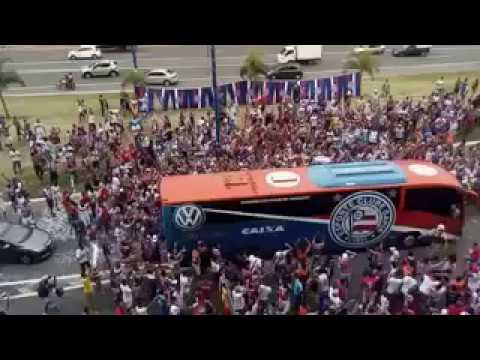 TORCIDA DO BAHIA X ONIBUS TRICOLOR   CHEGADA NA ARENA FONTE NOVA   Salvador Ba HD