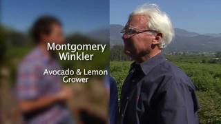 Farm to Fork - Avocados and Lemons: America's Heartland