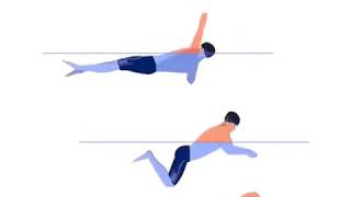 Download lagu BENTUK GERAKAN RENANG GAYA KUPU-KUPU, PUNGUNG, DADA DAN GAYA BEBAS (CRAWL) mp3