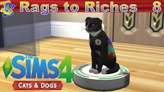 Let's Play The Sims 4 Rags to Riches Cats and Dogs EP8