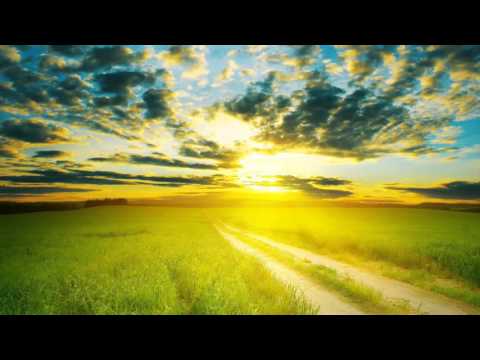 Calvin Harris - Summer (Dropwizz Love Trap Remix)