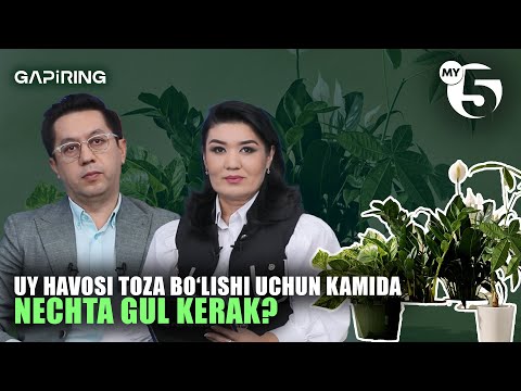 Uy havosi toza bo‘lishi uchun kamida nechta gul kerak? | "GAPIRING" TOK-SHOUSI